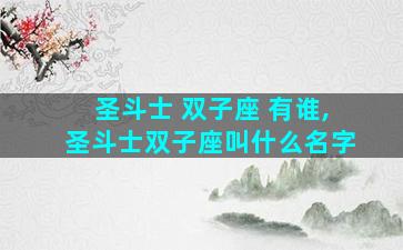 圣斗士 双子座 有谁,圣斗士双子座叫什么名字